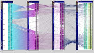 Four chromosomes from rice, sorghum, brachypodium and corn are aligned using ortholog pairs