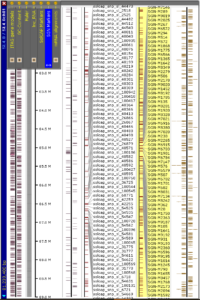 SL4.0 genome browser
