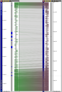 Tomato genome versions SL4.0 and SL3.0 compared